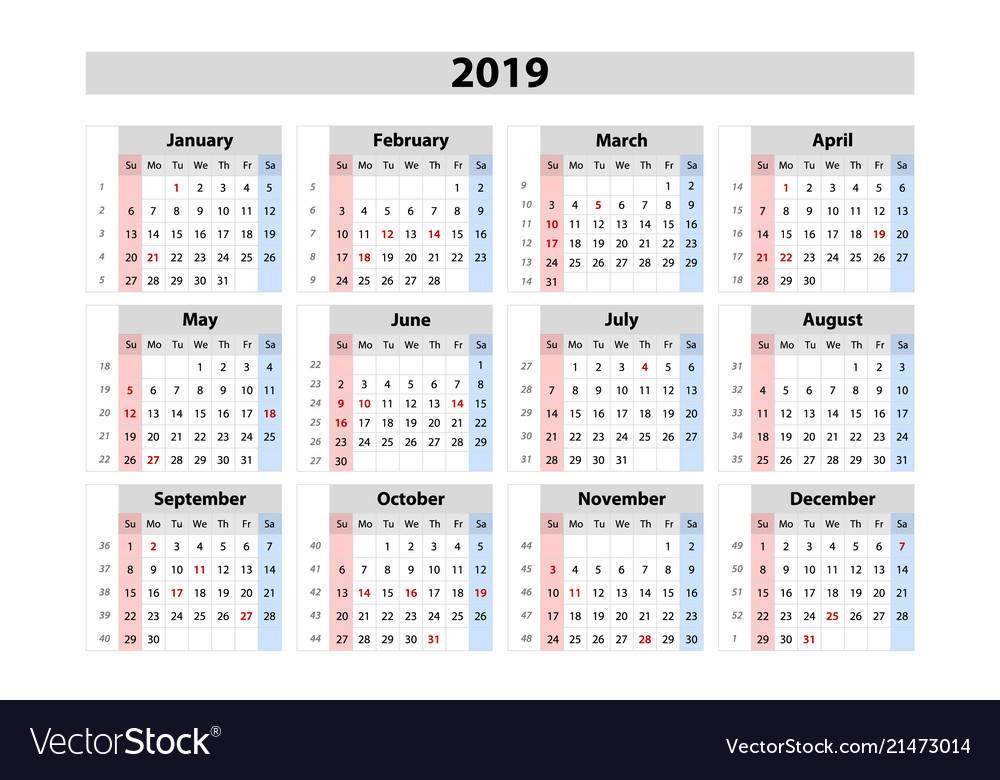 Calendar 2019 Week Starts From Sunday Business Vector Image - Business Calendar 2019 With Week Numbers