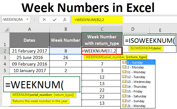 Week Numbers In Excel How To Use WEEKNUM Function In Excel  - 2012 Calendar In Excel With Week Numbers